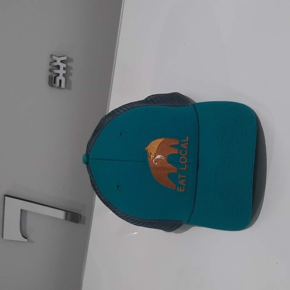 Patagonia  rare trucker hat